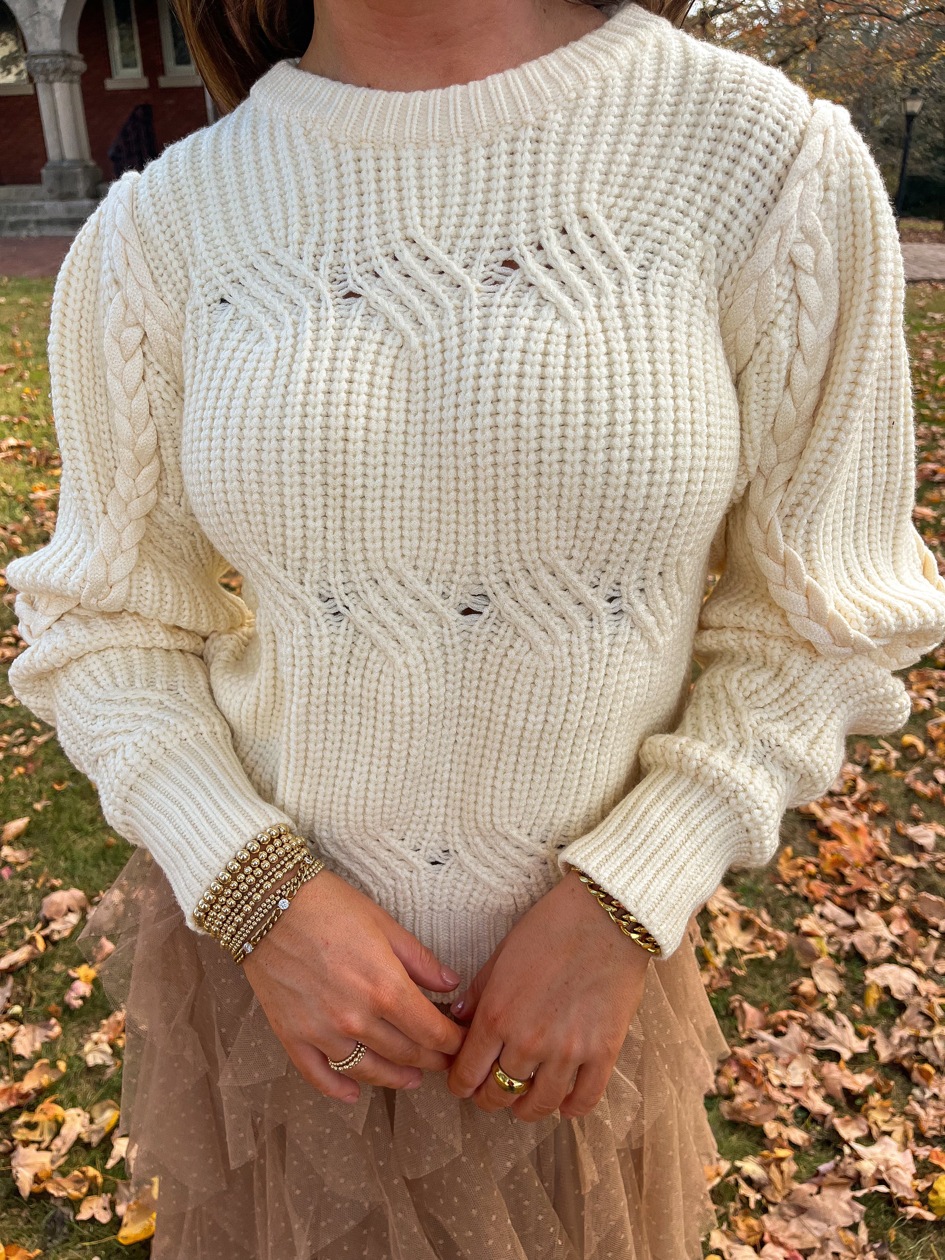 Joyce Braided Puff Sleeve Sweater